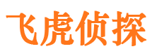 罗田出轨调查